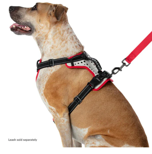 Nathan Dog Harness - Image 4