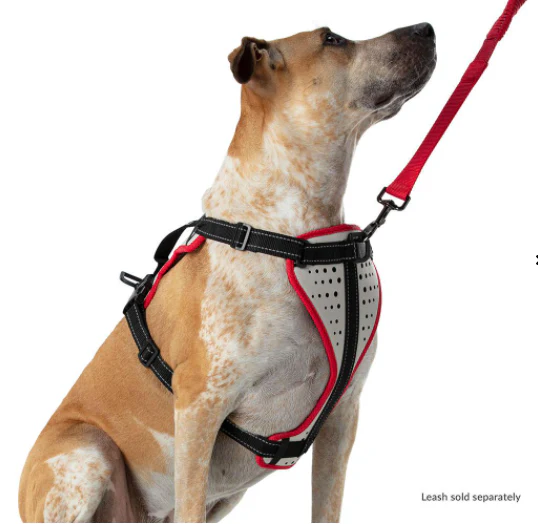 Nathan Dog Harness - Image 5