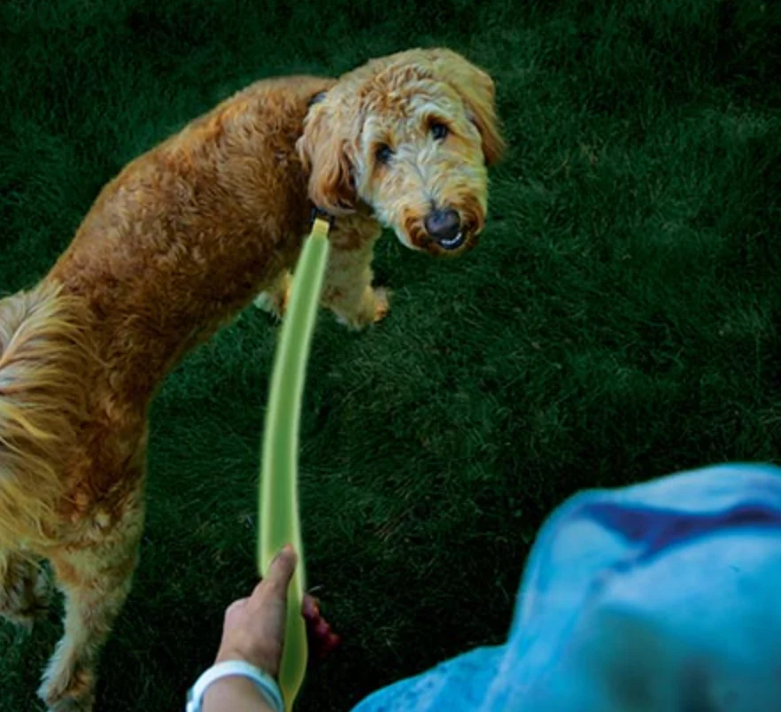 Nite Ize NiteDog Rechargeable LED Leash - Image 2