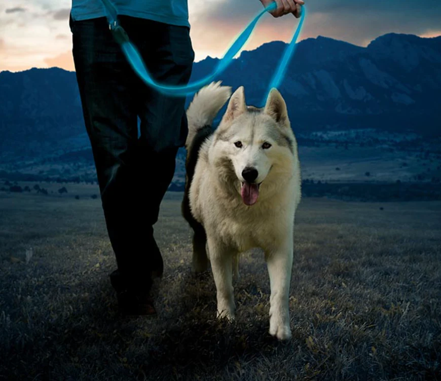 Nite Ize NiteDog Rechargeable LED Leash - Image 3