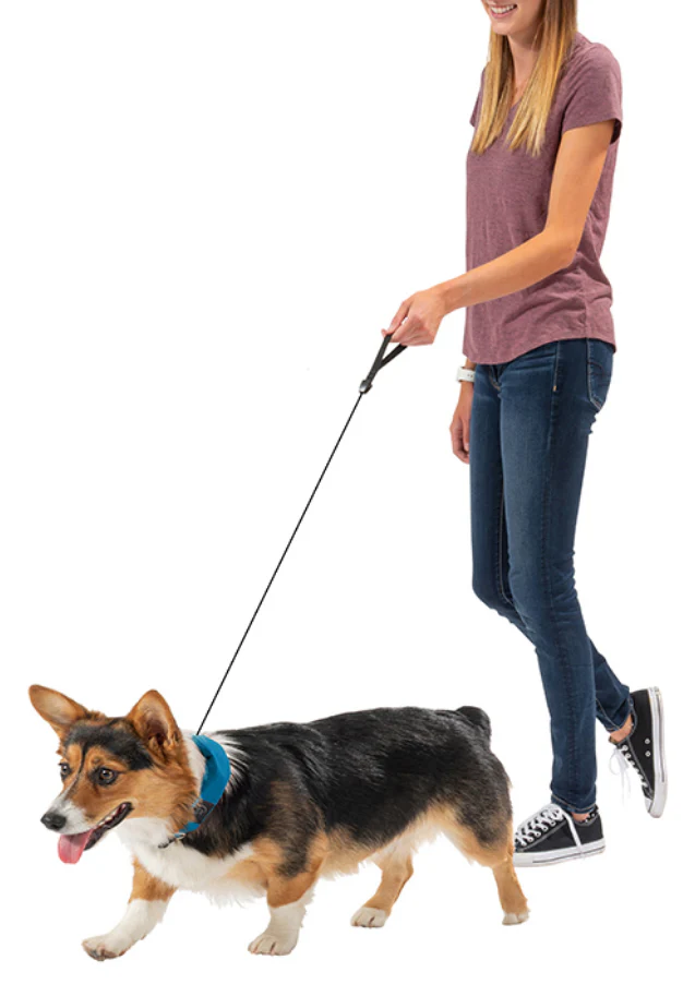 Nite Ize RadDog Leash - Image 2