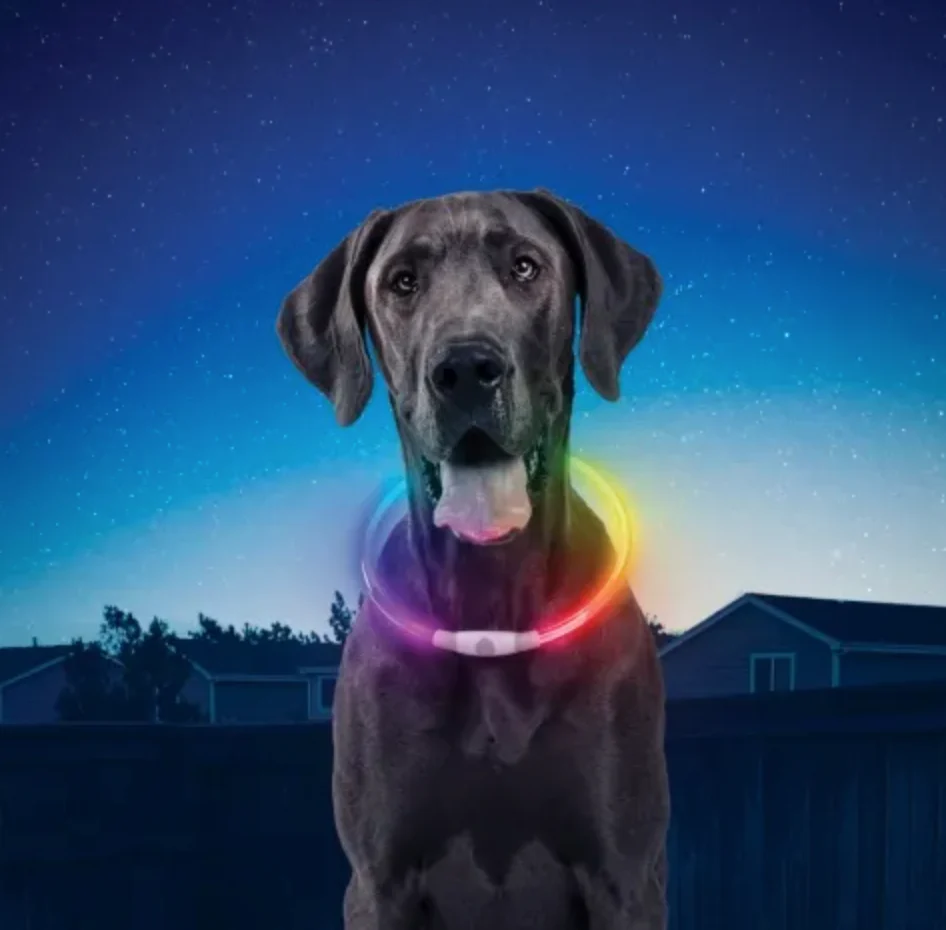 NiteHowl Rechargeable LED Safety Necklace - Image 3