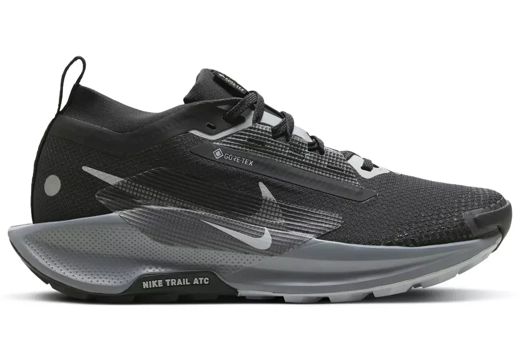 W Nike Pegasus Trail 5 GTX